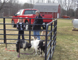 Maple Weekend petting zoo.